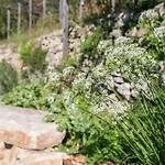 Alleinstehende Mit Pool Und Traumaussicht By Interhome Nyaraló *